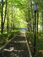 Территория