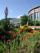 Территория