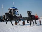 Зимний конно-спортивный праздник